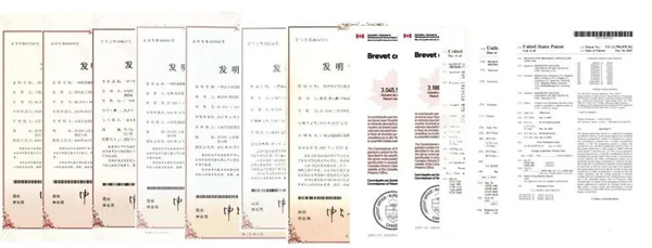 AG厅创园：稳健前行，开拓甜蜜新赛道